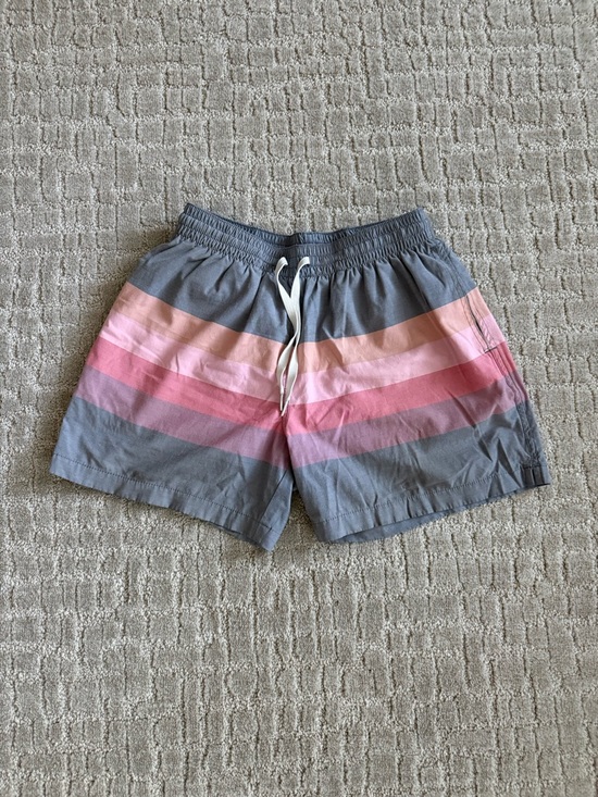 chubbies Other - Chubbies 5.5 in inseam swim shorts
